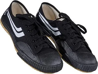 Kwon Segeltuchschuhe black