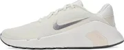 Nike Flex Train Sail/Chalk/pencil point/white