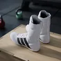 adidas Box Hog Classic cloud white/core black