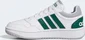adidas Hoops 3.0 cloud white/collegiate green/grey two