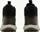 Jack Wolfskin Dromoventure Wt Texapore Mid cold Coffee