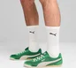 Puma Arizona Nylon archive green/vapor gray