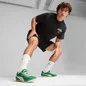 Puma Arizona Nylon archive green/vapor gray