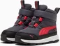 Puma Evolve galactic gray/tart cherry/puma black