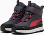 Puma Evolve Puretex galactic gray/tart cherry/puma black