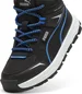 Puma Evolve Trail puma black/hyperlink blue