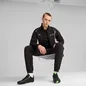 Puma Mercedes-AMG Petronas F1 Tune Cat puma black/fizzy green