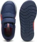Puma Multiflex 2 persian blue/fierce red