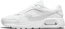 Nike Air Max SC white/photon dust