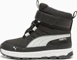 Puma Evolve Puretex puma black