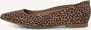 Tamaris leather Ballerina brown